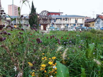 Screenshot 2025-03-17 174132