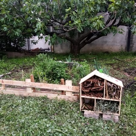 3fb23284-2235-4d44-aa76-43b6cbb25a18